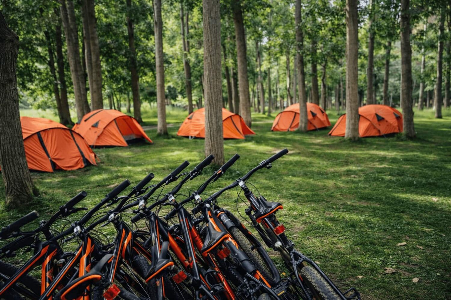 cycling holidays in indian himalayas through Spiti Valley, Ladakh and Zanskar with Into Wild Himalaya Expeditions professional cycling guides