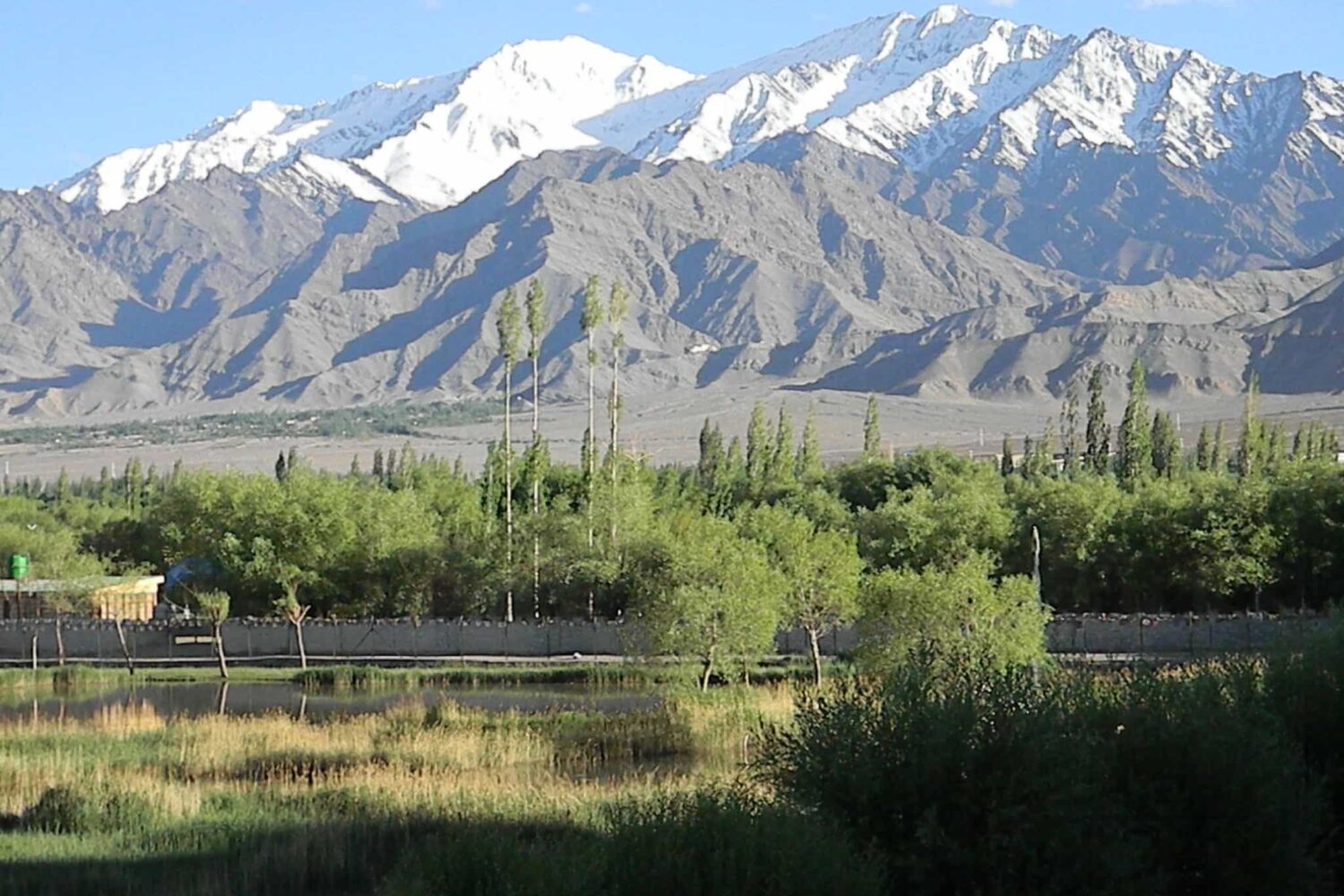 Traditional Padum village, cultural stop on Zanskar Valley Trek, showcasing Ladakhi and Zanskari life, Indian Himalayas.
