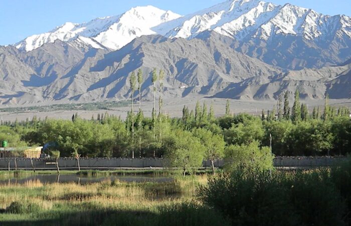 Traditional Padum village, cultural stop on Zanskar Valley Trek, showcasing Ladakhi and Zanskari life, Indian Himalayas.