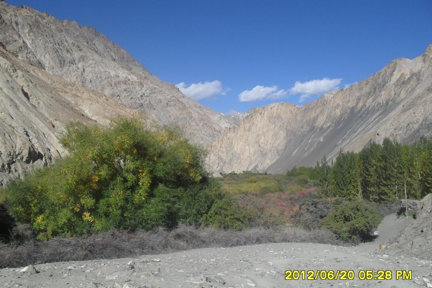 Markha Valley landscape with rugged Himalayan cliffs, green and autumn-hued trees under a clear blue sky in Ladakh