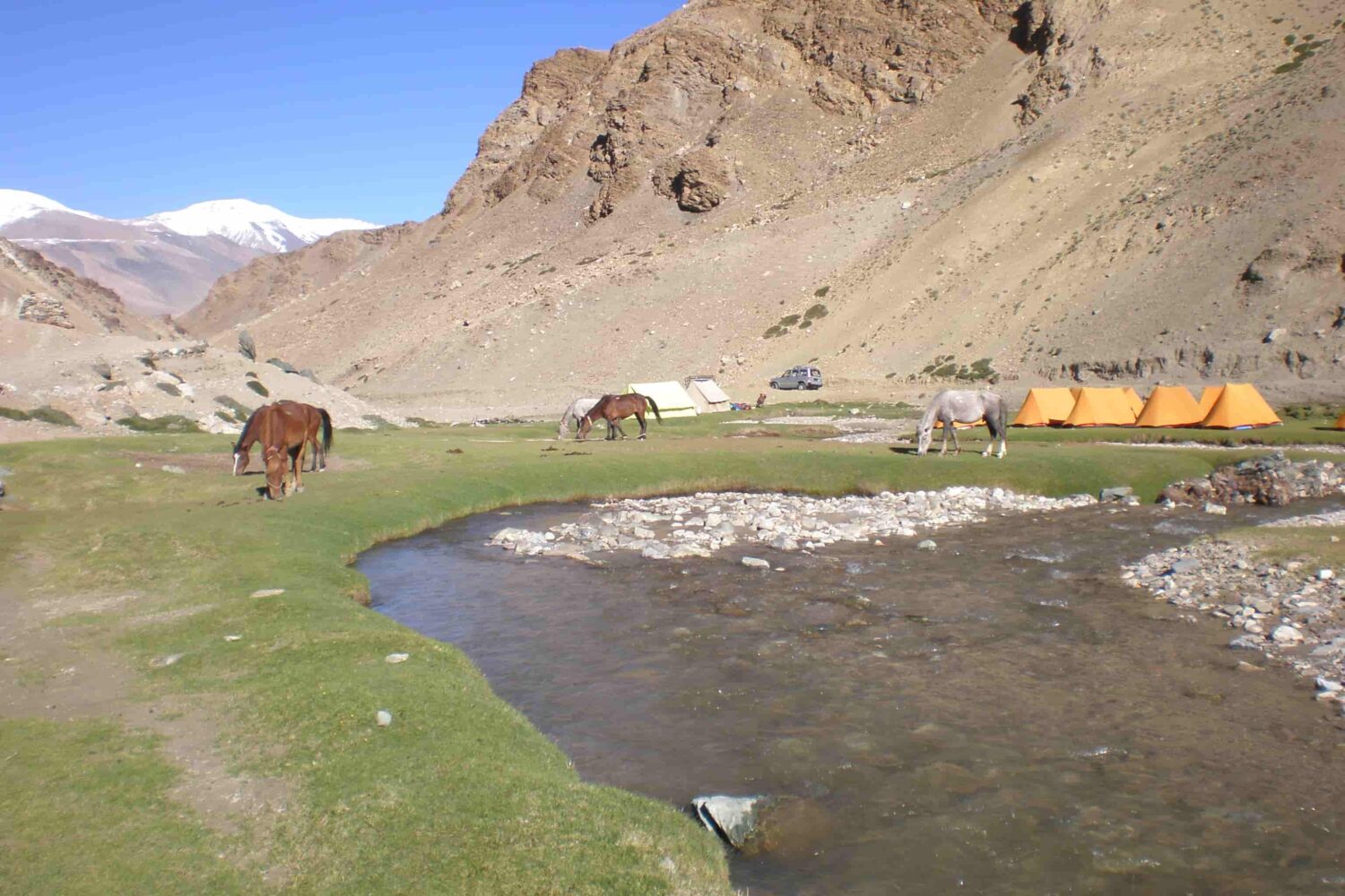 Trekkers crossing Parang La Pass 5,600 m on Zanskar Valley Trek – high Himalayan pass linking Ladakh and Spiti regions, India.