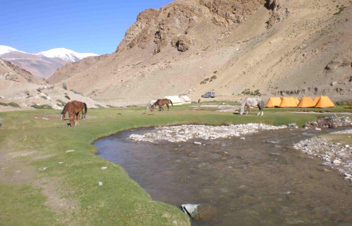 Trekkers crossing Parang La Pass 5,600 m on Zanskar Valley Trek – high Himalayan pass linking Ladakh and Spiti regions, India.