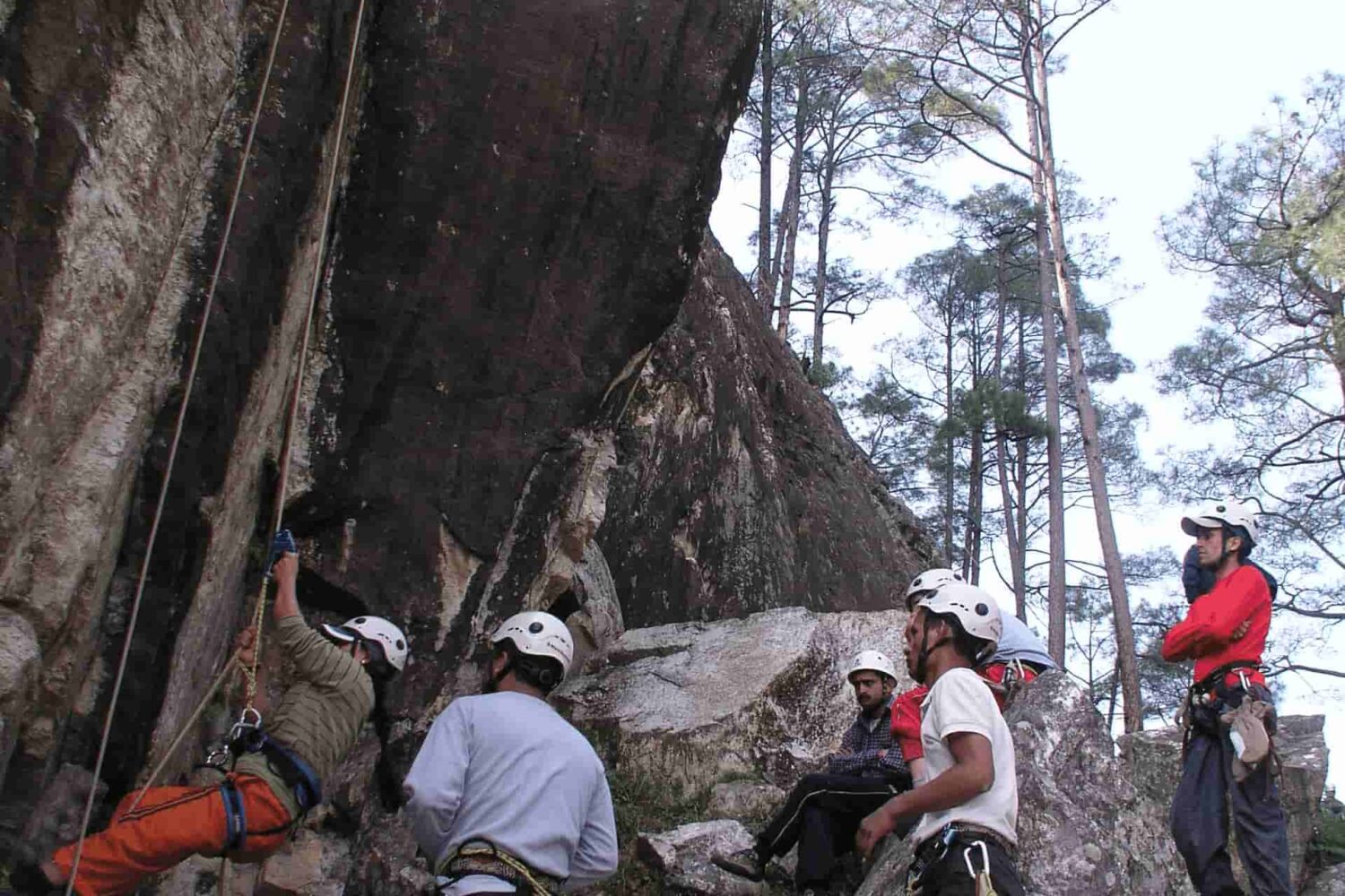 Trainees practicing rope systems and belaying techniques in a forest training zone during the Private Basic Mountaineering Course in Manali India under instructor supervision.
