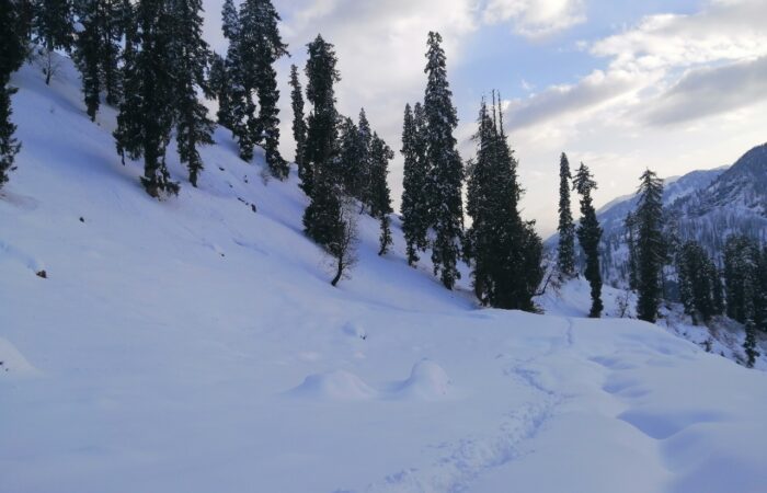 A line of footprints leads downhill toward Solang Village through snowy slopes and trees during the Patalsu Peak Day Hike near Manali.