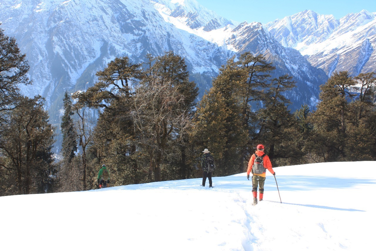 Trekkers on a snowy meadow during the Patalsu Peak winter day hike near Manali