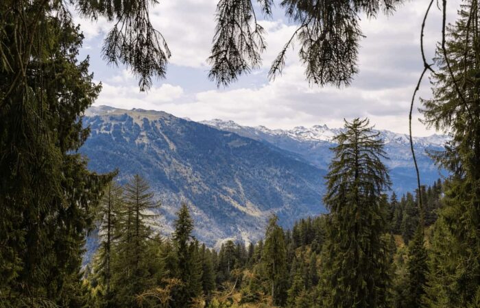 Manali day hike to lamadugh