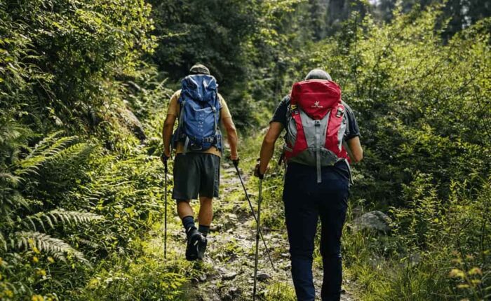 Manalidayhikelamadugh Day hike to Lamadugh Manali