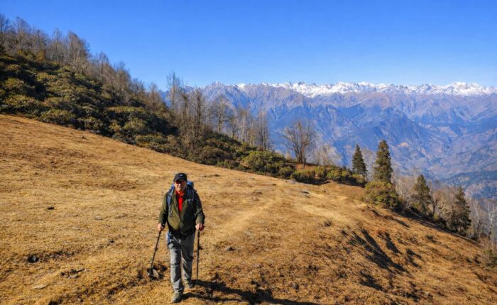 Vashisht to Panduropa one day hike with Himalayan mountain views near Manali One day hike from Manali to Panduropa through alpine meadows in the Indian Himalayas