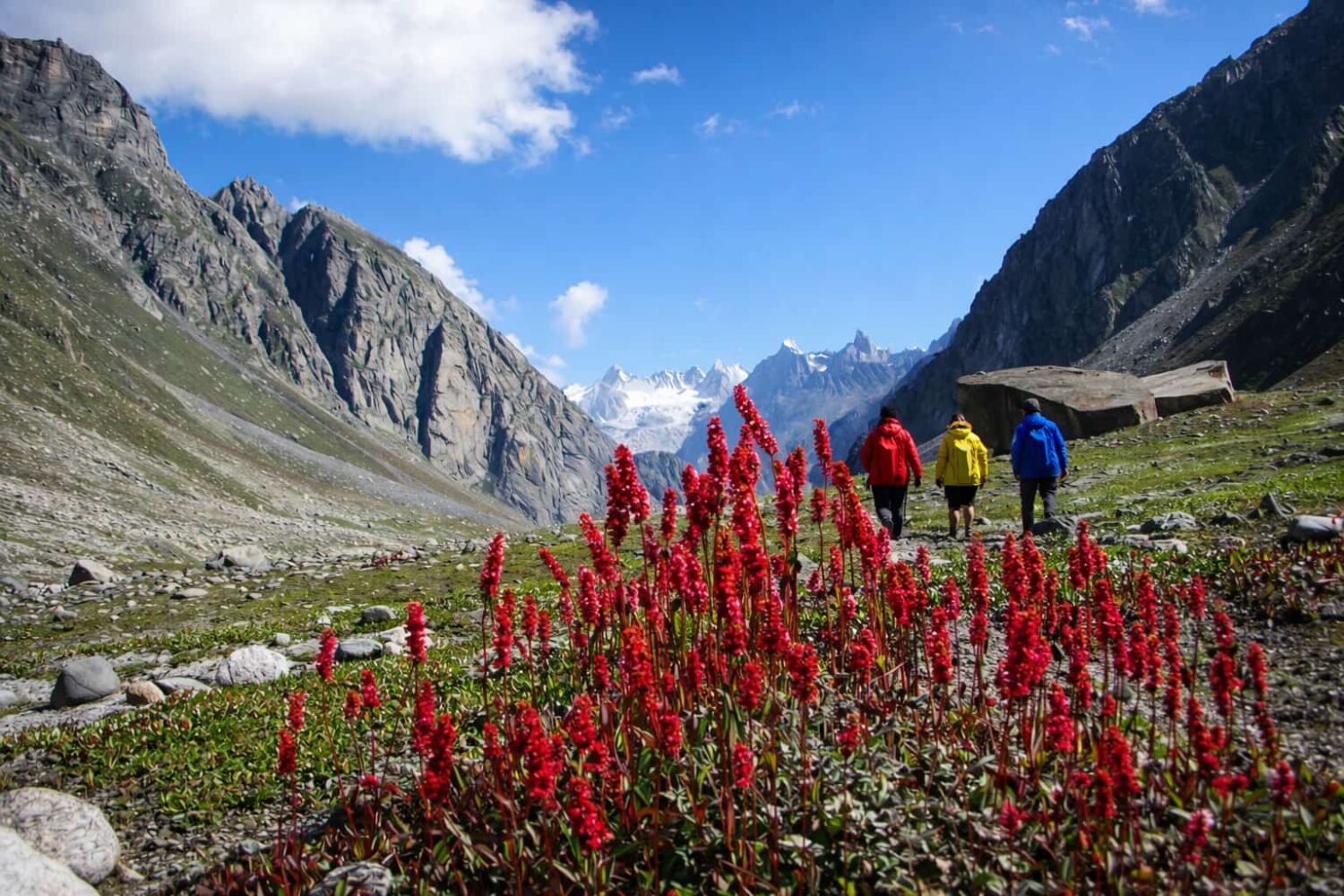 Manali to hamta day hike