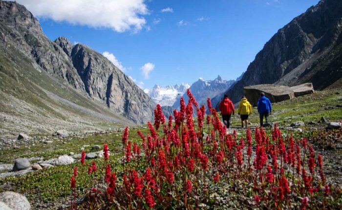 hike around manali Manali to hamta day hike