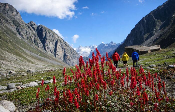 Manali to hamta day hike